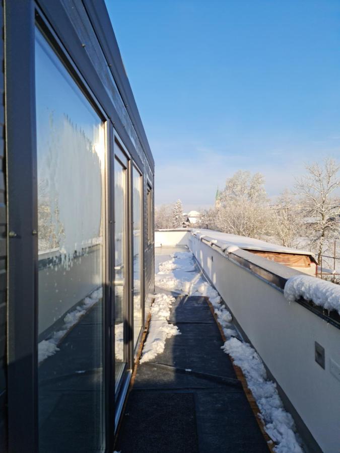 Roof Apartment Art-Pe Trebnje Eksteriør billede