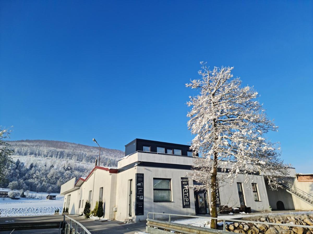 Roof Apartment Art-Pe Trebnje Eksteriør billede